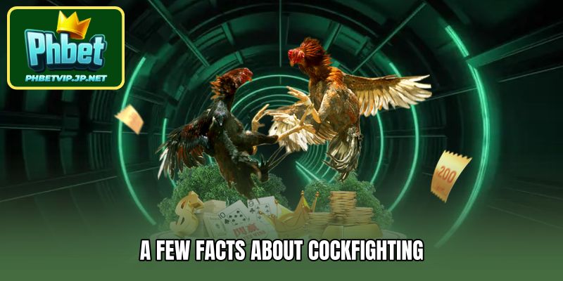 A few facts about Cockfighting