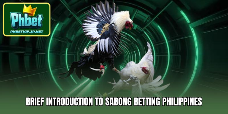 Brief Introduction to Sabong Betting Philippines