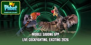 Mobile sabong app