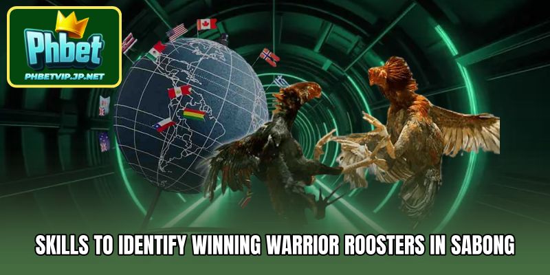 Skills to Identify Winning Warrior Roosters in Sabong